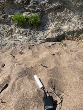 measurment image measurment image